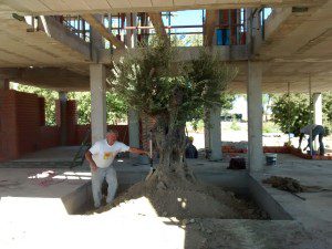 IMG_20150921_124704